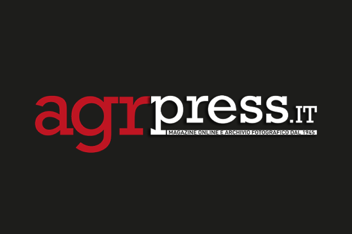 logo-agr-press